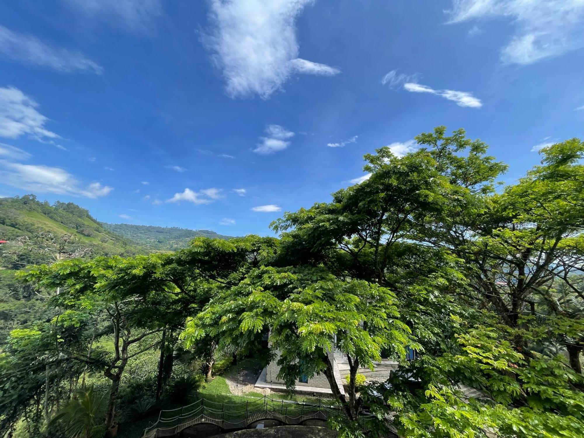 Home Boutique Natural Paradise La Vega  Esterno foto
