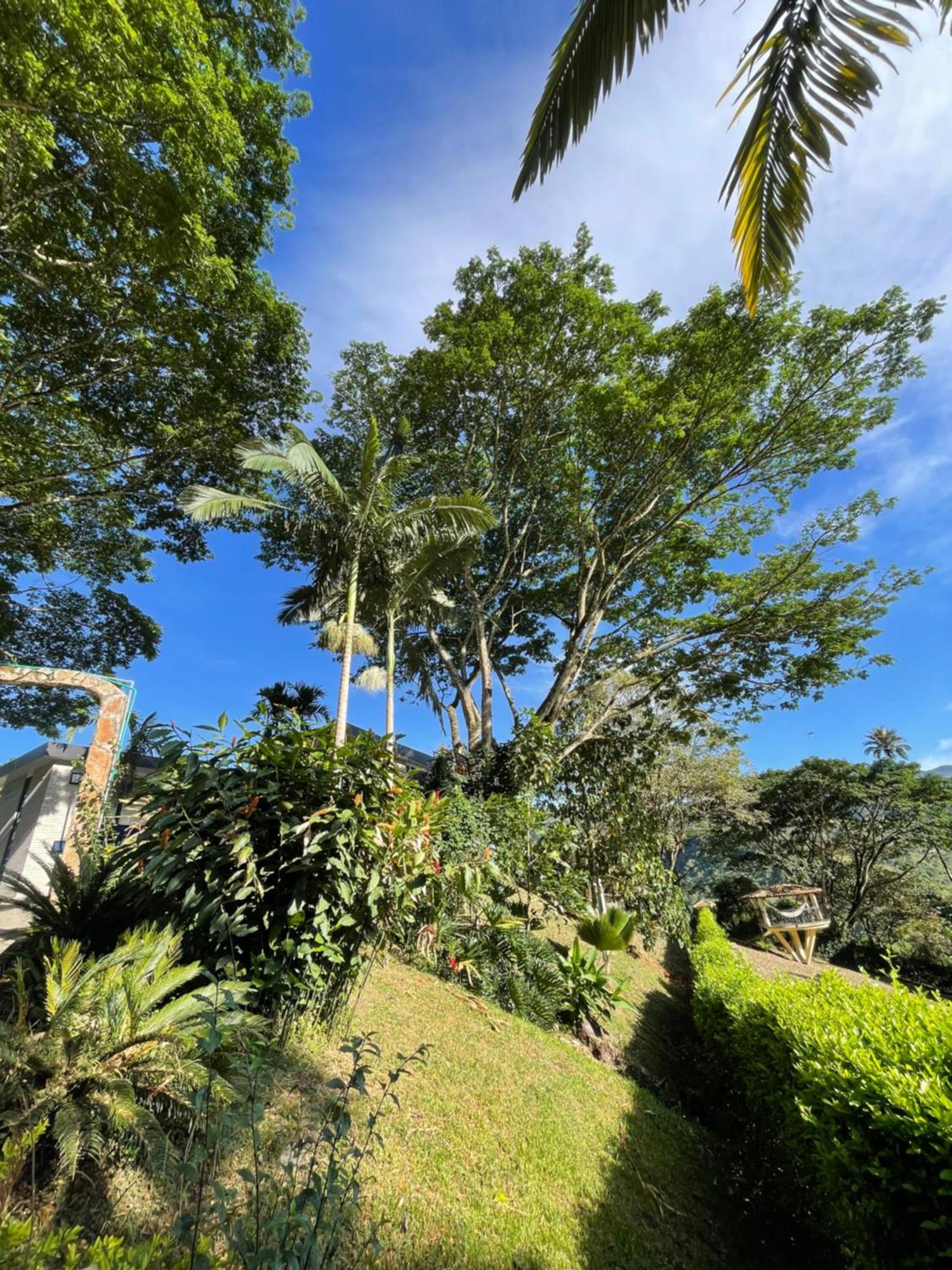 Home Boutique Natural Paradise La Vega  Esterno foto