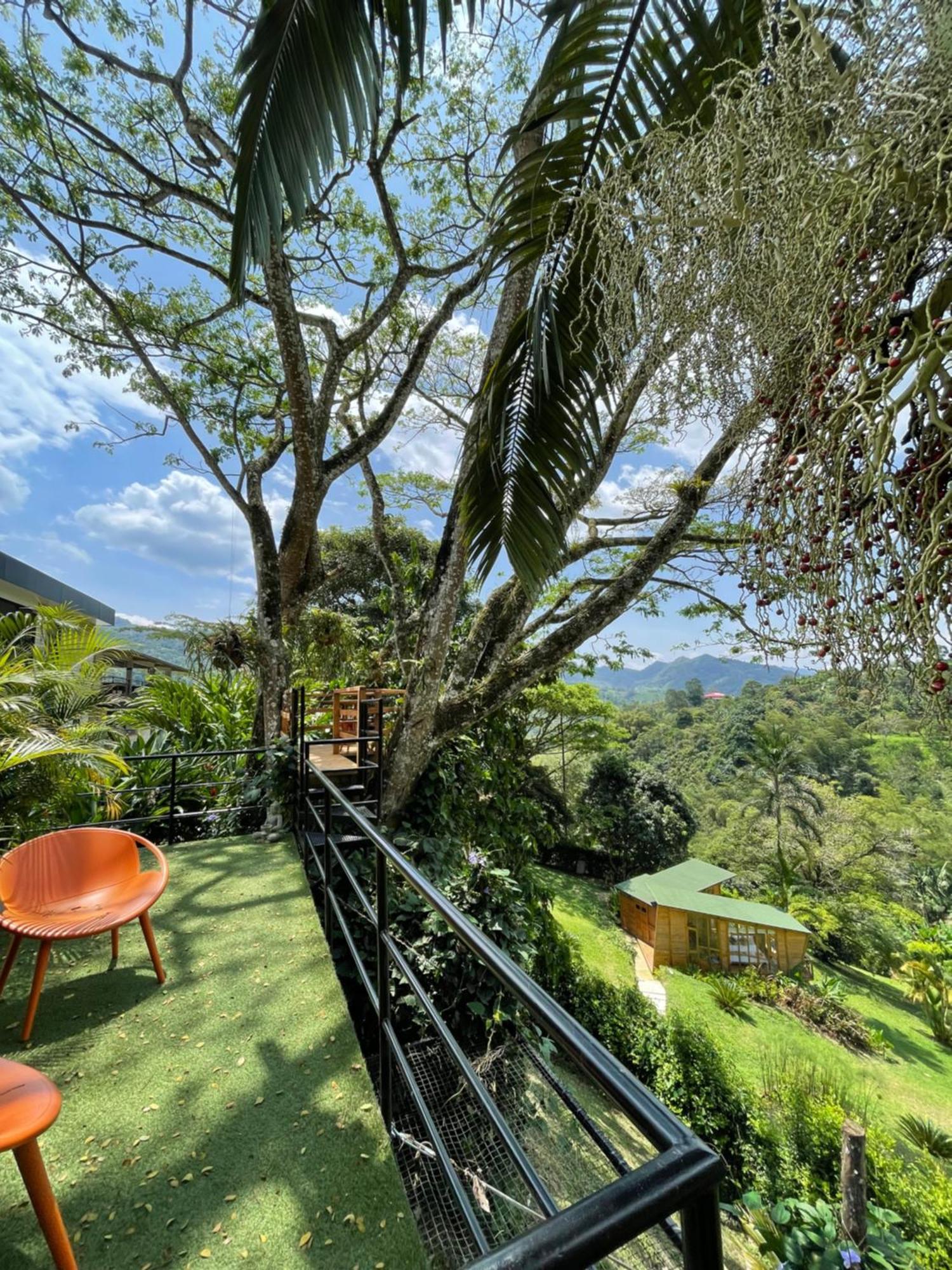 Home Boutique Natural Paradise La Vega  Esterno foto
